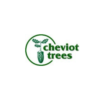 Cheviot Trees